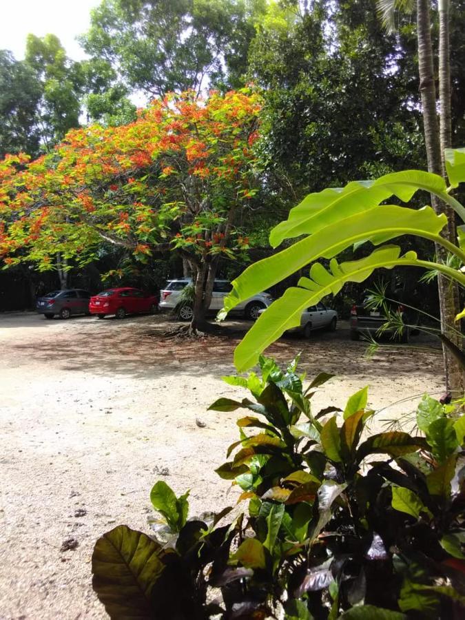Villas Ecotucan Bacalar Luaran gambar