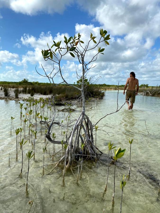 Villas Ecotucan Bacalar Luaran gambar