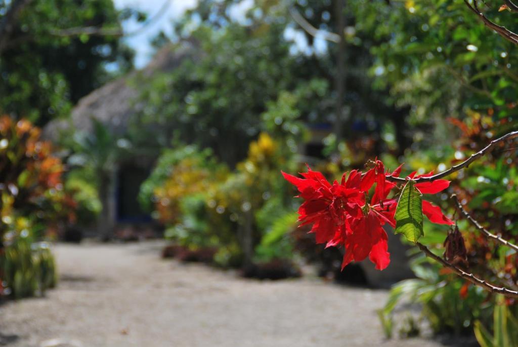 Villas Ecotucan Bacalar Luaran gambar